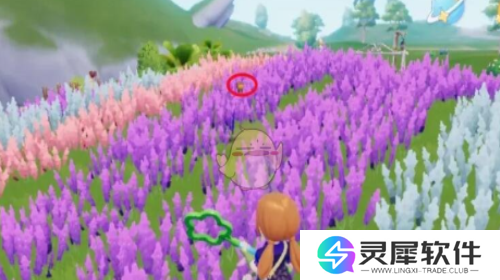 心动小镇熊蜂在哪 心动小镇熊蜂任务攻略