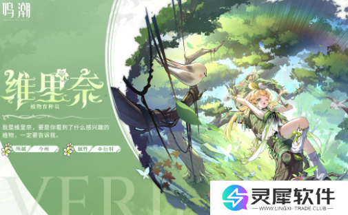 鸣潮椿怎么配队 鸣潮椿主c配队推荐