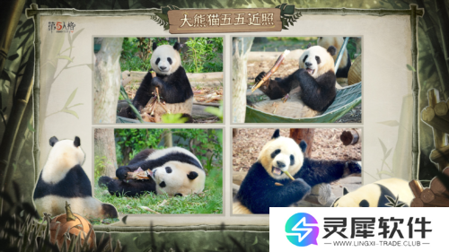 第五人格4