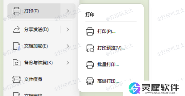 预览打印文件